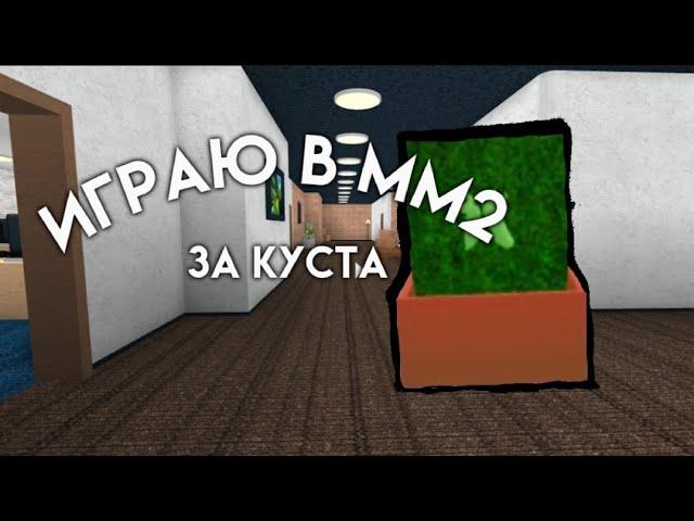 мардер мистори 2 но я куст