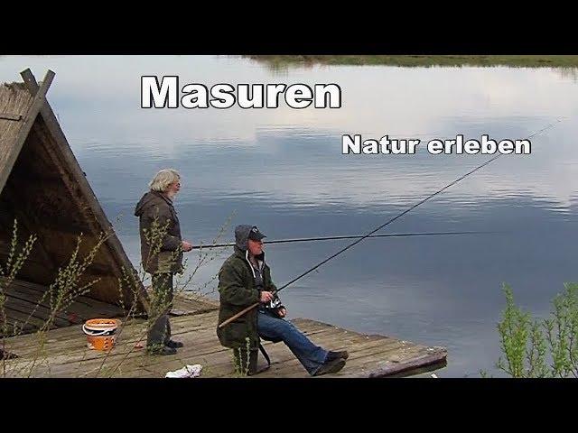 Masuren - Natur erleben  ( Reise-, Tier- und Naturfilm )