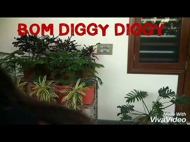 Bom diggy diggy dance choreography / Bolly-Hop / Sonu ke Titu ki Sweety / Vaneesh Parashar Dance