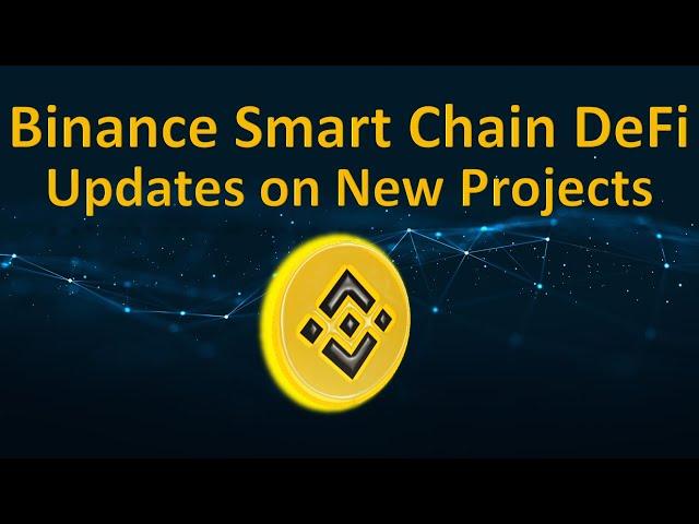 Binance Smart Chain DeFi | UPDATES on New Projects & Strategy How to Make Passive Income Farming BNB