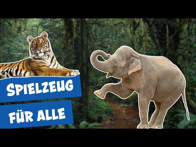 Spielspaß für die Tiere im Zoo Berlin I Panda, Gorilla & Co.