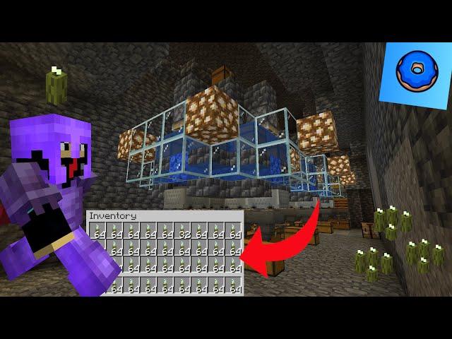 building a HUGE PICKLE FARM on Donut SMP