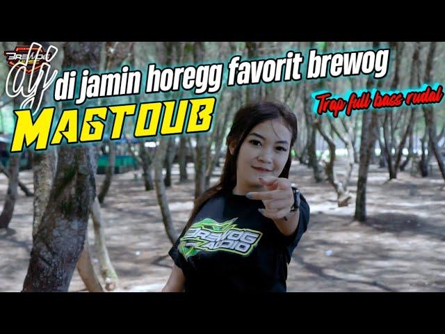 DJ YANG DI GUNAKAN CEK SOUND BOX COBRE HOREGG POLL - BREWOG MUSIC - MAGTOUB