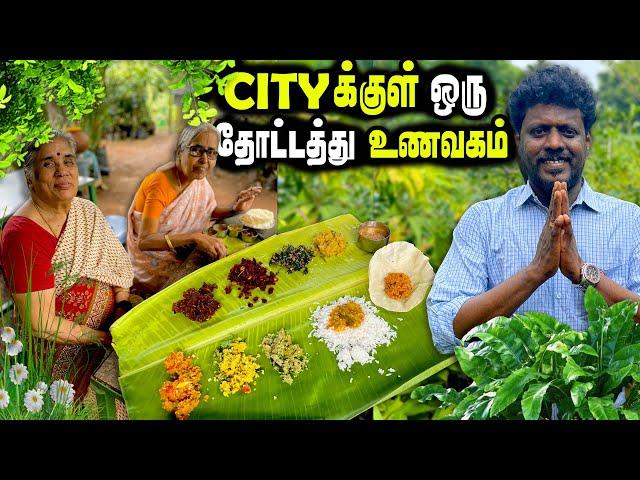 சென்னை cityக்குள் மறைந்திருக்கும் தோட்டத்து உணவகம் | Garden Millet Restaurant | MSF