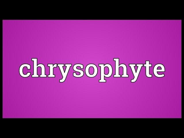 Chrysophyte Meaning