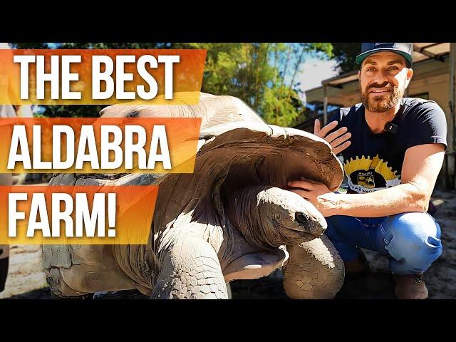 The Ultimate in Aldabra Knowledge!