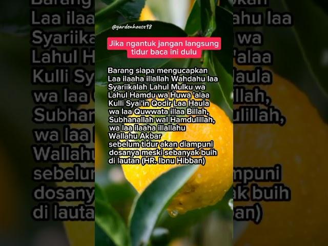 Jika ngantuk jangan langsung tidur#feedshorts#amalan#doa#dzikir#viral#fyp#foryou