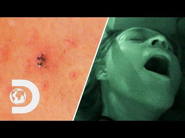 Competitor May Give Up After Finding Ticks In Her Vagina | Naked And Afraid: Alone