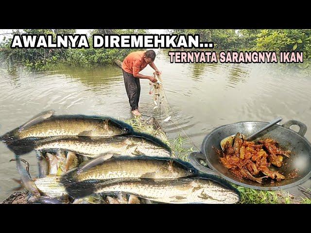 AWALNYA DIREMEHKAN... TERNYATA SARANGNYA IKAN || MASAK MAKAN BERSAMA ANAK ISTRI