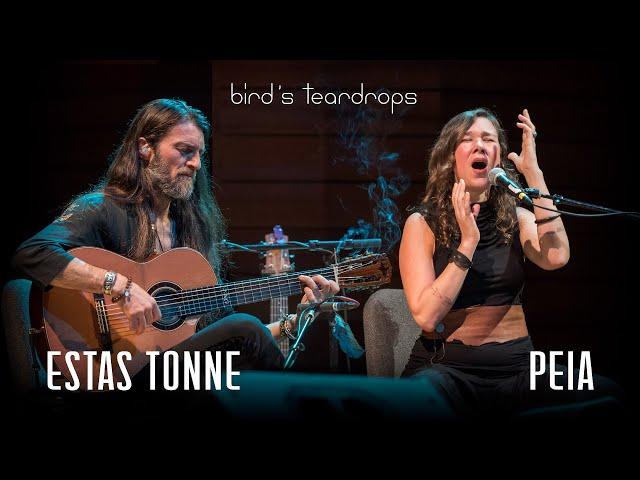 Bird's Teardrops || Estas Tonne feat. Peia || Ashland, Oregon 2018