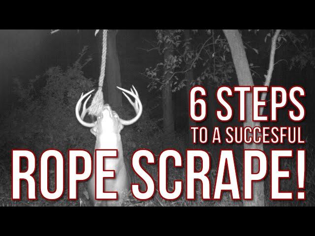 6 Steps to a successful rope scrape for whitetail deer