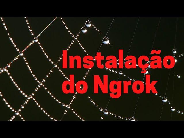 INSTALAÇÃO DO NGROK NO KALI LINUX