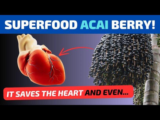 The power of the Amazon is in one ACAI BERRY. A superfood and a Mega-vegetable Antioxidant.