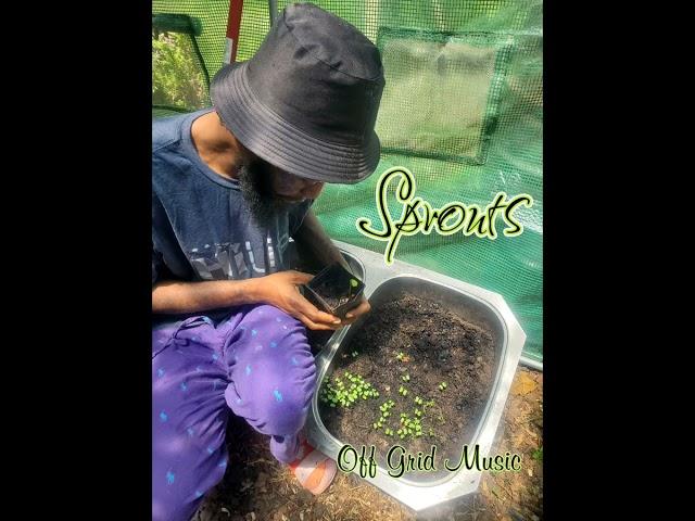 Sprouts  #music #offgrid #typebeat @jayscope5428 Check out their beats 