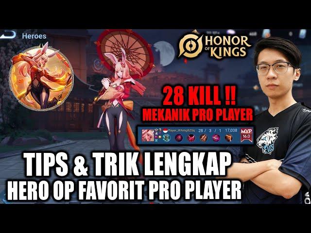 DIJAMIN JADI PRO! TIPS & TRIK HERO OP FAVORIT PARA PRO PLAYER ARLI!!