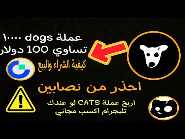 سعر عملة 1000 dogs بقمية 100$ كيفية اربح عملة dogs وعملة cats فوري احذر من عمليات الاحتيال