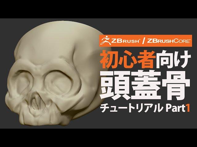 ZBrush / ZBrushCoreを始めてみよう - 頭蓋骨 part1