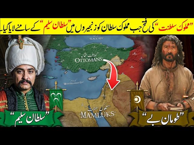 Battle of Marj Dabiq (1516)️｜The Fall of the Mamluk Empire｜Sultan Selim Part 4