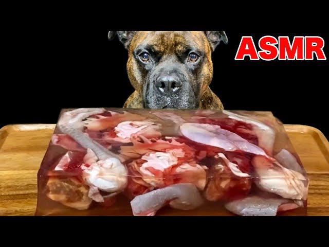 MUKBANG ASMR Dog eating Giant raw meat jelly！Chicken sheep beef 【American Bully】