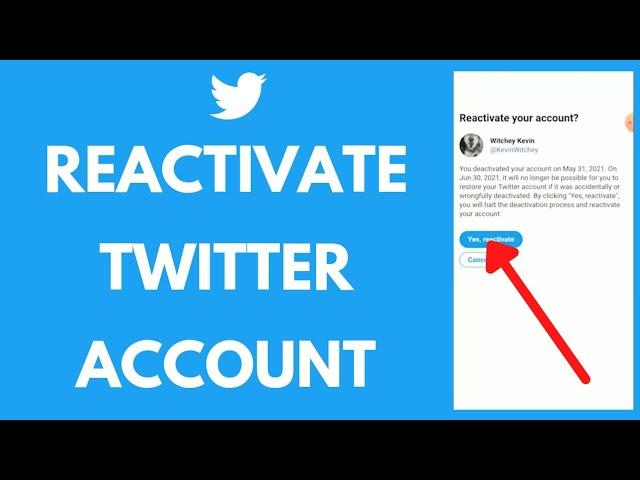 how to reactivate your twitter account