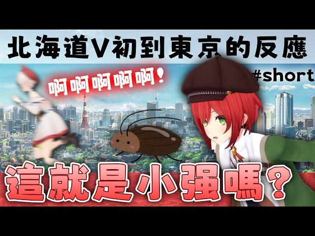 青桐高校short｜北海道V來到東京會遇到的各種事情｜青桐高校｜Vtuber中文字幕