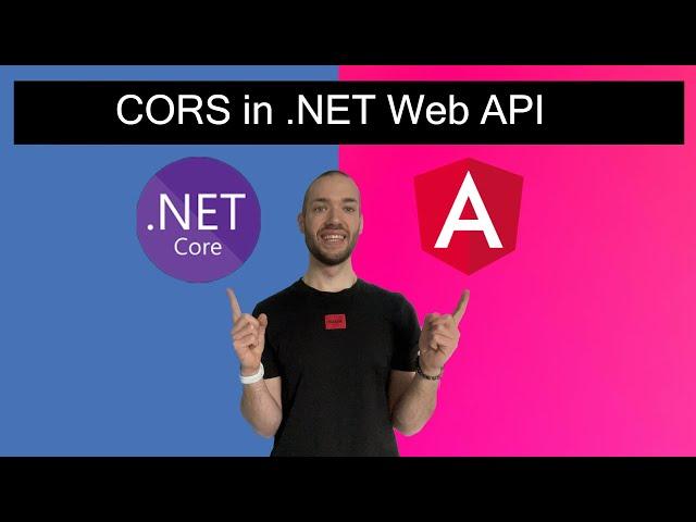 How to setup CORS in .NET Web API