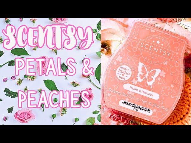 Scentsy SOTM for January Petals & Peaches Review