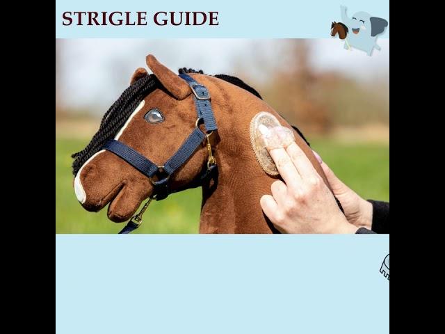 Strigle guide til kæpheste