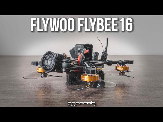 1.6" Digital Tinywhoop?? - Flywoo Flybee16