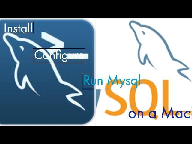 How to Install & configure Mysql on a Mac