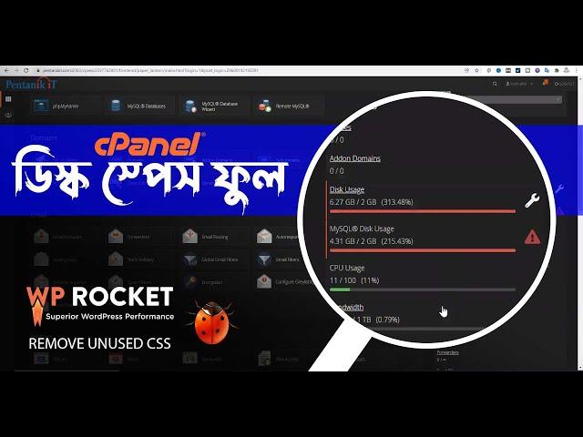 ওয়েবসাইটের স্পেস ফুল হয়ে গেলে কি করবেন how to free up cPanel disk space full