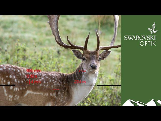 What the Swarovski dS Gen II riflescope can do with deer