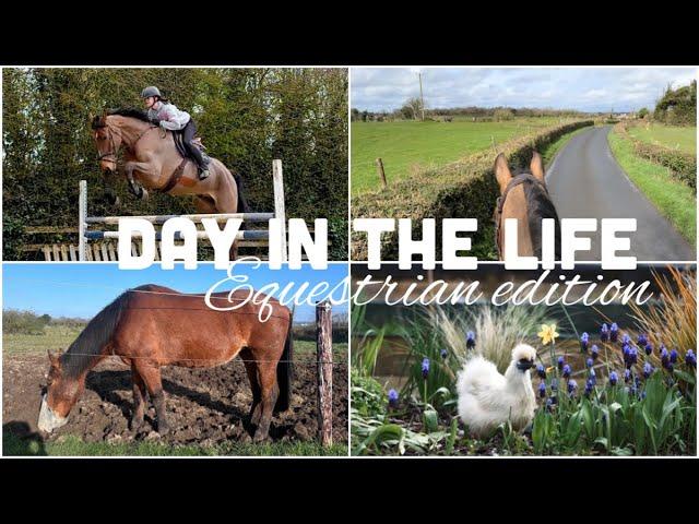 EQUESTRIAN DAY in the LIFE on a HORSE FARM in IRELAND AD