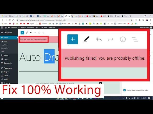 How to Fixed publishing failed  you are probably offline in WordPress