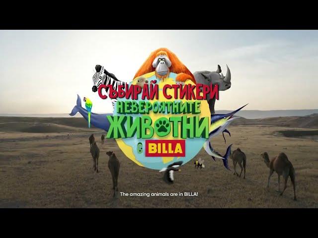 BILLA Bulgaria 'Amazing Animals Around the World' | TV Commercial