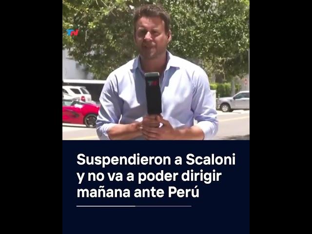 Suspendieron a Lionel Scaloni por una fecha y no podrá dirigir en el partido contra Perú