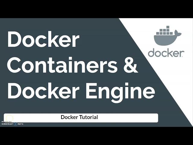 Introduction To Docker Engine and Docker Containers | Docker Architecture | How Docker Works?