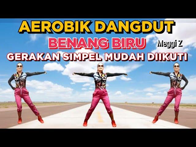 AEROBIC DANGDUT BENANG BIRU (MEGGY Z) | BAKAR LEMAK | GERAKAN SIMPEL MUDAH DIIKUTI |  Irna Chendani