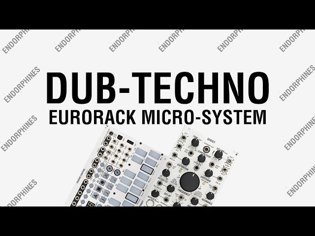 DUB-TECHNO Eurorack  Micro-System