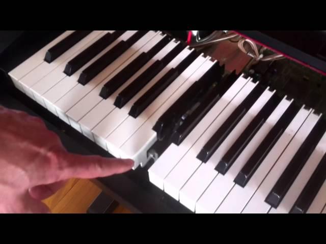 Technics Digital Piano Keyboard Repair