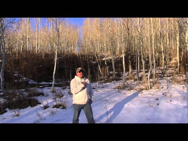 Bigfoot Sighting.Bear Lake, Idaho late 90s Police Officer.