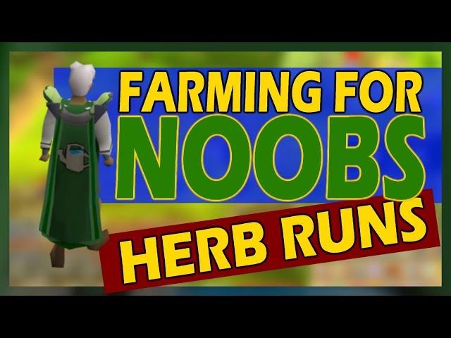 [OSRS] How To Start Doing Herb Runs | Farming For Noobs