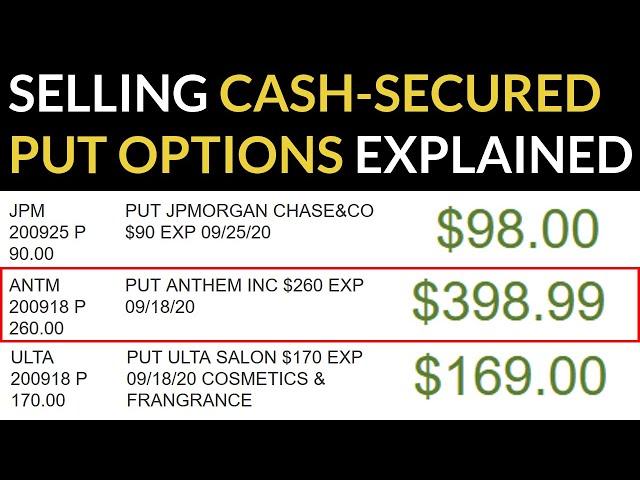 Selling Cash Secured Put Options: A Lower-Risk Option Strategy for Long Term Investors