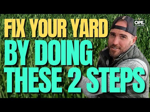 FIX your UGLY LAWN in 2 STEPS