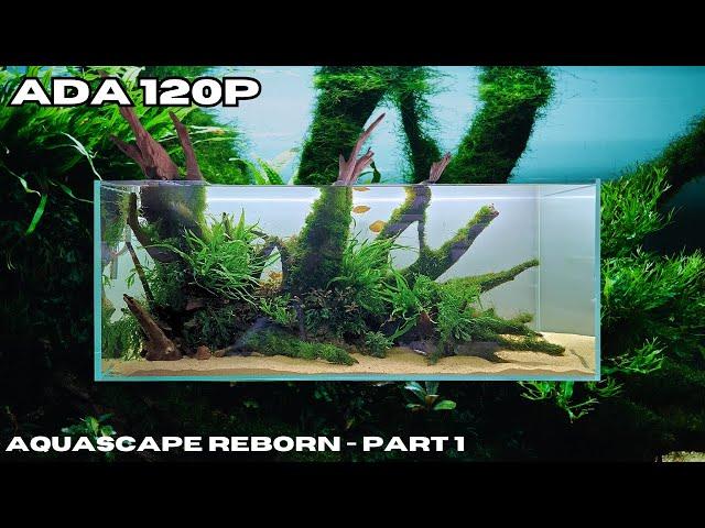 AQUASCAPE REBORN - WE MADE IT BIGGER AND BETTER (PART 1)