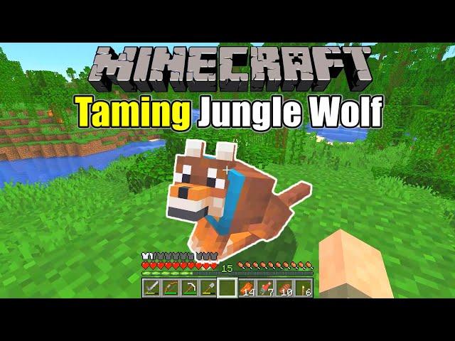 Minecraft Survival - Taming a Jungle Wolf (Survive & Thrive 2024) - Ep 5