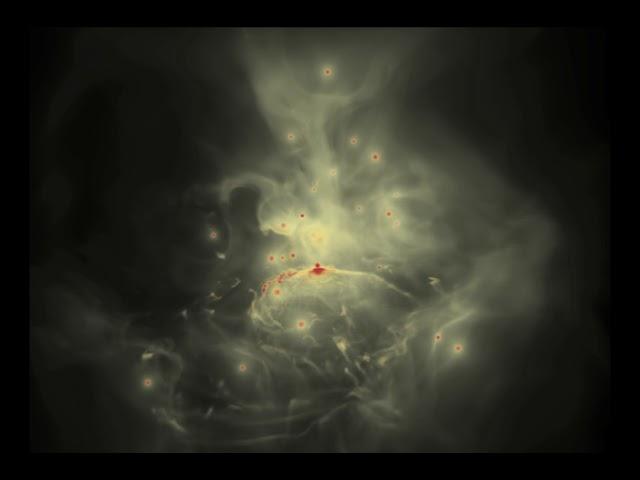 Wolf-Rayet stars orbiting around the central super-massive black hole of the Milky Way