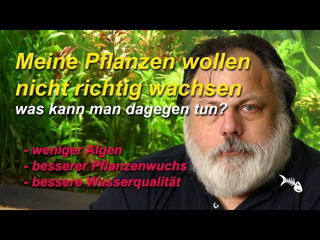 Meine Pflanzen wachsen nicht! Was tun gegen Pflanzenprobleme und gegen Algen im Aquarium? Grundlagen