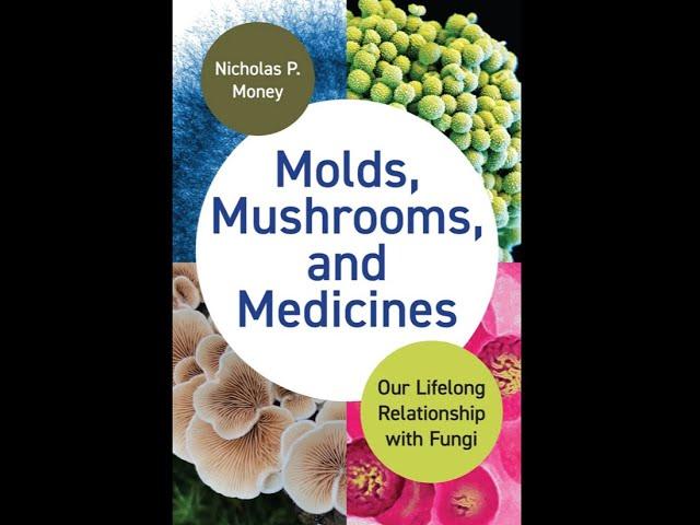 Molds, Mushrooms, and Medicines (Science on Tap show)