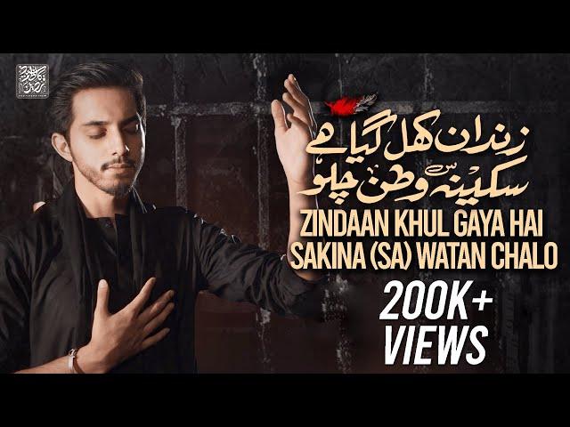 SAKINA WATAN CHALO | Syed Fardeen Kazim | New Nohay 2024 | Noha Bibi Sakina 2024 | 13 Safar Nohay